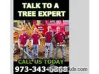 Tree Pruning in NJ