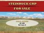 Steinruck CRP Land for Sale Weld County CO