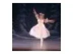 The Nutcracker