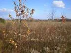 38.91 Acres