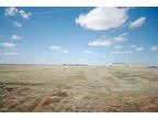 12780 Wild Horse Trl