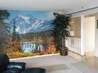 Have a beautiful huge apartment with rooftop looking for a roomm
