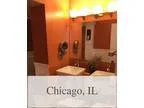 Chicago Luxurious 3  2.50