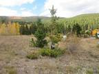 St. Mary s Glacier lot (Idaho Springs)