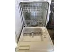 Adopt Abby (with Video) a Labrador Retriever  Spaniel (Unknown T
