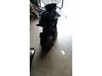 Adopt Vanna a Chow Chow Labrador Retriever
