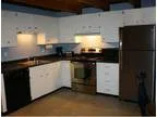 Family Friendly Ski Condo near Breck Keystone Copper Vail