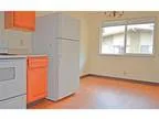 Idaho Springs - Nice Two BR Apartment.