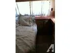 1987 Class C Mallard -