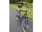 Schwinn wayfarer 700c Hybrid (Decatur)
