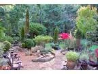 Into the Mystic...on special Salt Spring Island