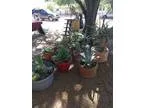 It s on..YARD SALE (Tucson)