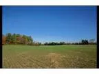 40 - Acres in Hancocks Bridge