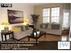 Leatherfern Ter 302-268