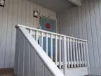 809 Sandollar