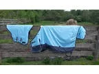 75 &quot Heavy Turnout Blanket w Neck Cover For Sale