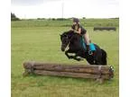Versatile Pony Mare