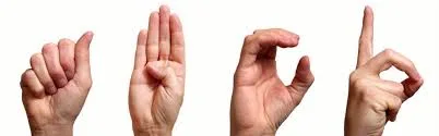 Learn sign language 