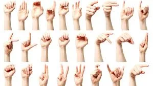 Learn sign language 