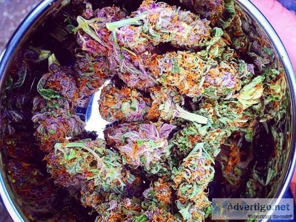 High quality mmj available for sale 
