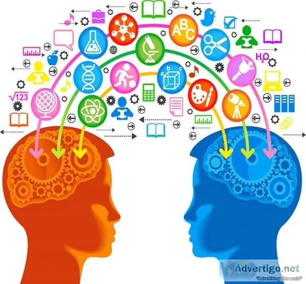 Brain capacity development