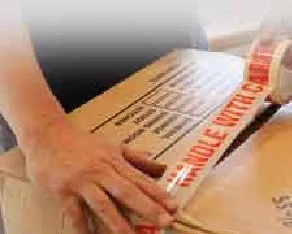 Fastest international courier service pr