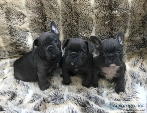 Stunning blue girls