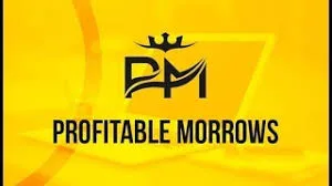 8k per month using profitable morrows