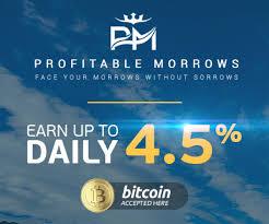 8k per month using profitable morrows