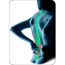 Arogyam pure herbs kit for joint pains