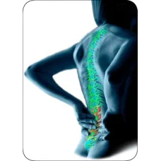 Arogyam pure herbs kit for joint pains