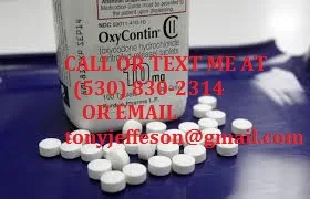 Bbuy pain killers and other drugs now 