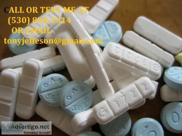 Xcvxfv get pain killers and other drugs 