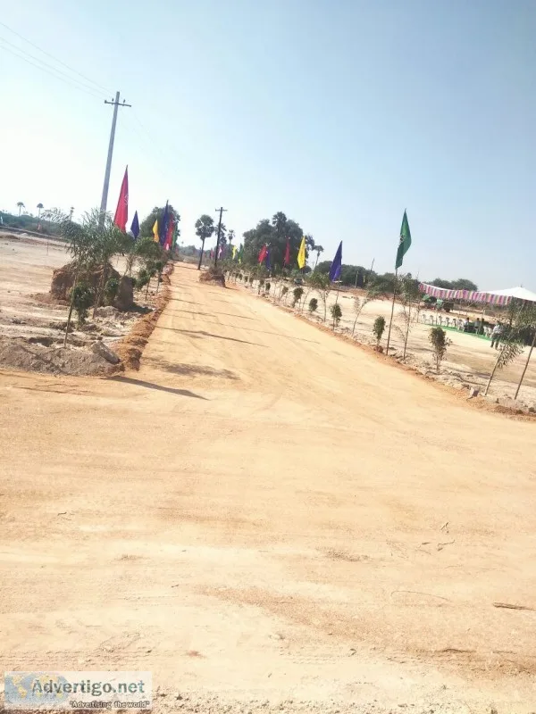 Land