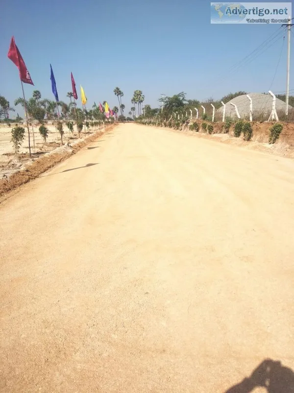 Land
