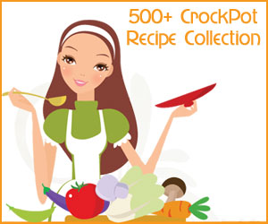500+ crockpot recipes 