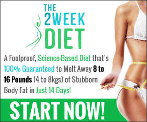 The 2 week diet