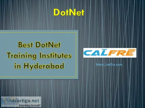 Top dot net institutes 