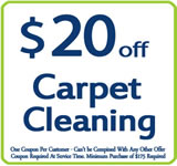 Cleaning carpet in houston