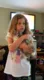  pure breed maine c--n female kitten 