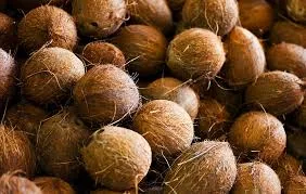 Coconut oil 