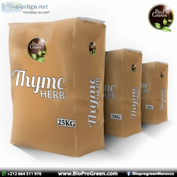 Thyme natural herb