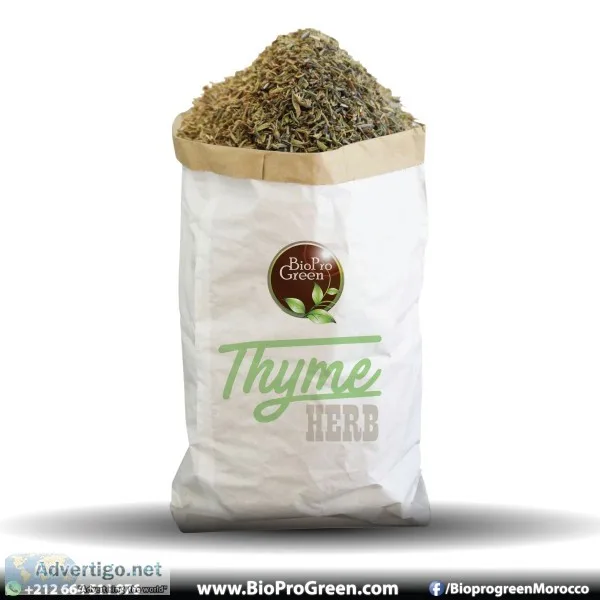 Thyme natural herb