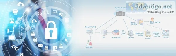 Mr reporting software - with daily call 