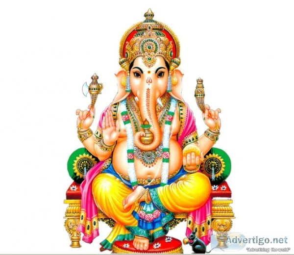 India no1 astrologer