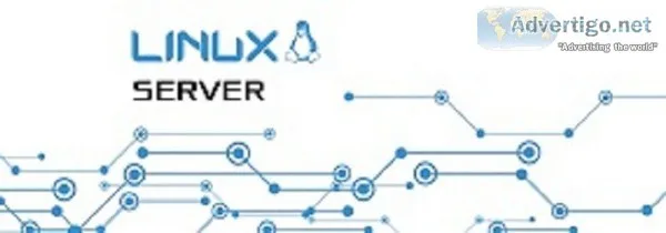 Vps server support