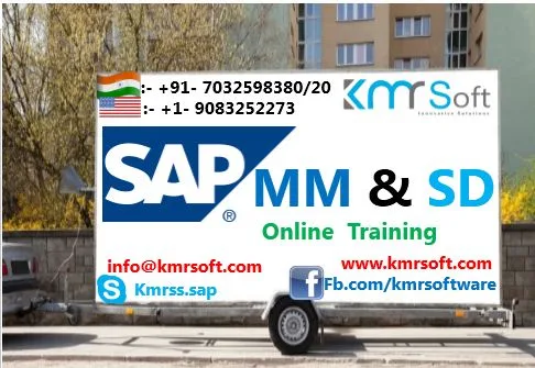 Best sap sd course training institute