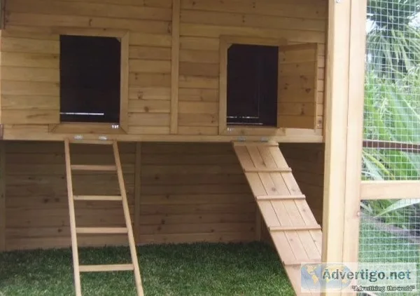 Chicken coop homestead cat enclosure