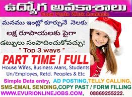 Unlimited income typing from home