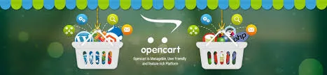 Hire opencart developers in east delhi